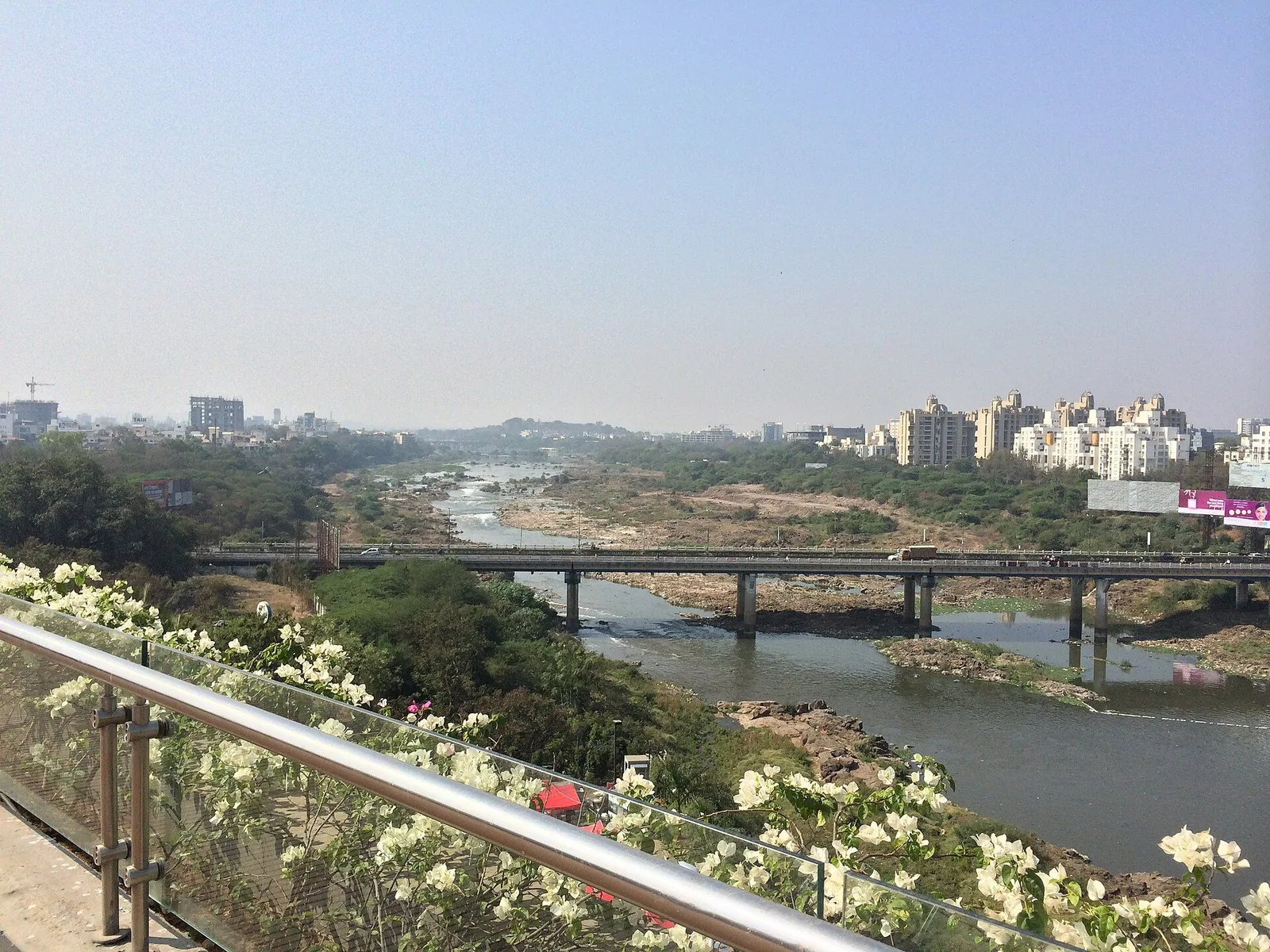 A river with a bridge, flowering plants in front and apartment blocks on the far bank