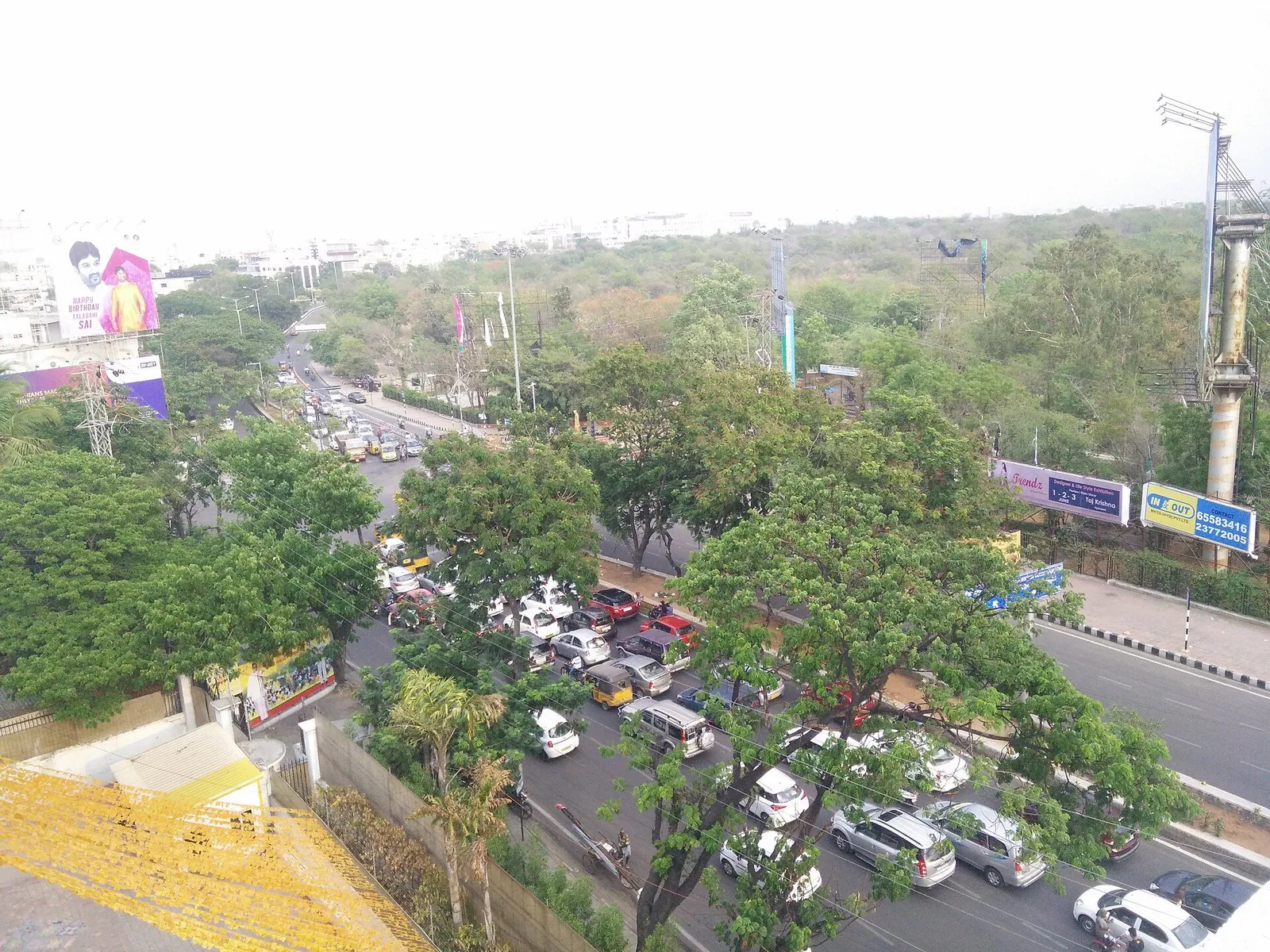 Traffic at a road junction surrounded by tall green trees